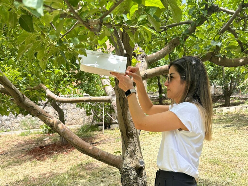 Öğretim Görevlisinden Çiftçilere Büyük Destek