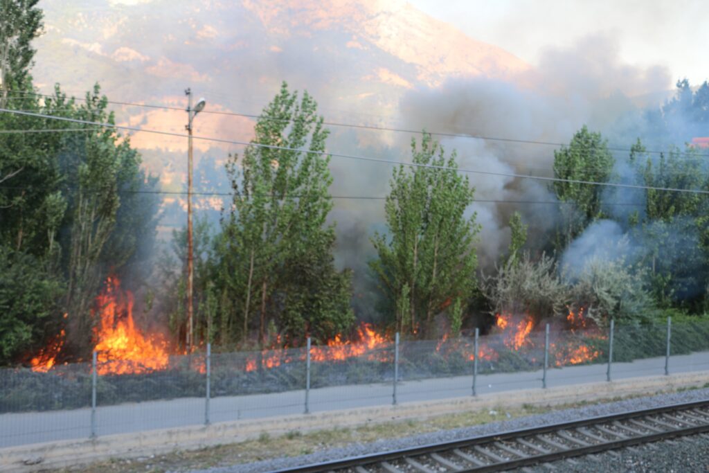 Pozantı’da Çalılık Yangını Yerleşim Yerlerine Ulaşmadan Söndürüldü