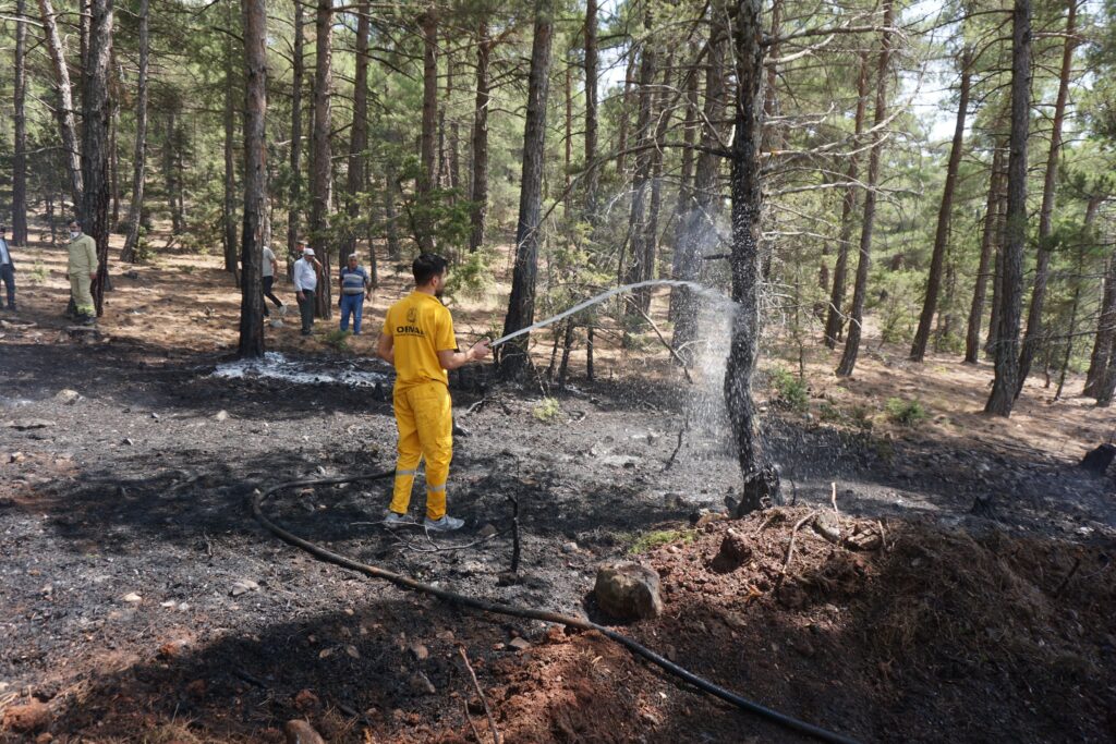 Armutoluğu Yaylasında Yangın Son Anda Söndürüldü