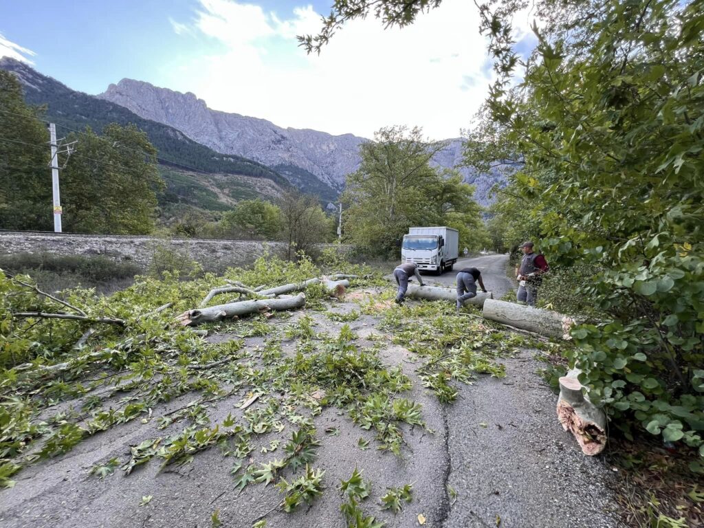 Sert Esen Rüzgar Pozantı’da Çınar Ağaçlarını Devirdi