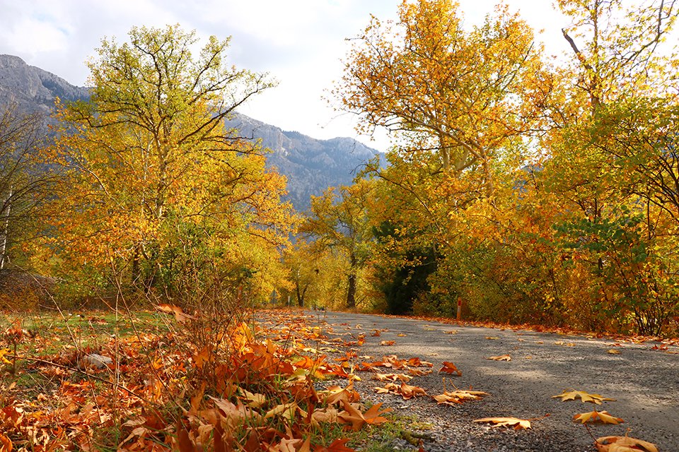 Sonbaharın Tadı Pozantı’daki Belemedik Tabiat Parkında Çıkıyor