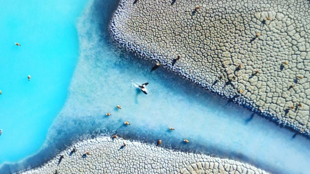 Pozantılı Fatih Yılmaz’ın Fotoğrafı Dünya Birincisi Oldu