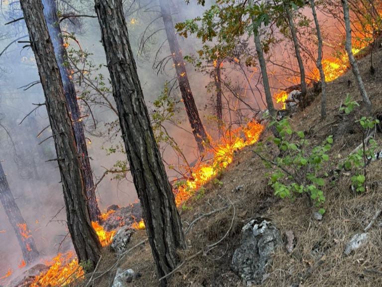 Pazar Günü Çıkan Yangınlar Korkuttu