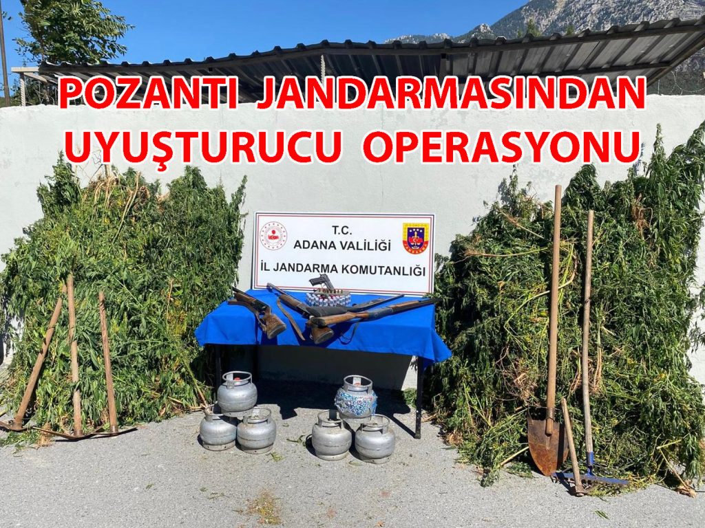 Pozantı Jandarmasından Ormanda Uyuşturucu Operasyonu: 2 Kişi Tutuklandı