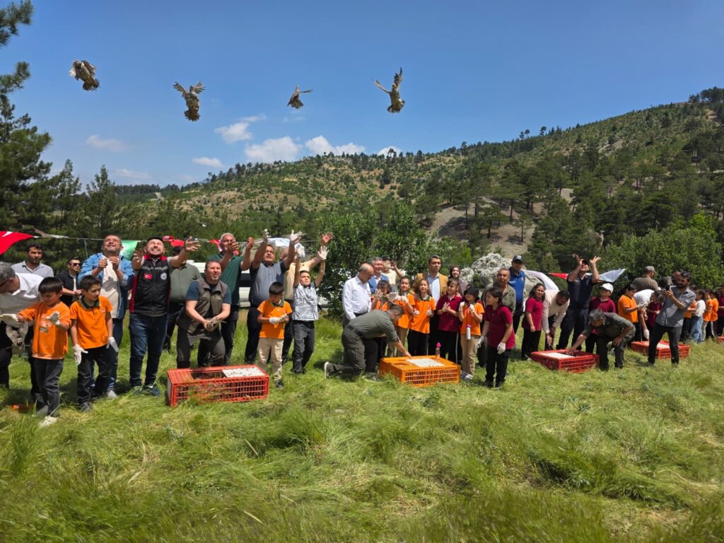 Pozantı’da Doğaya 300 Keklik Bırakıldı
