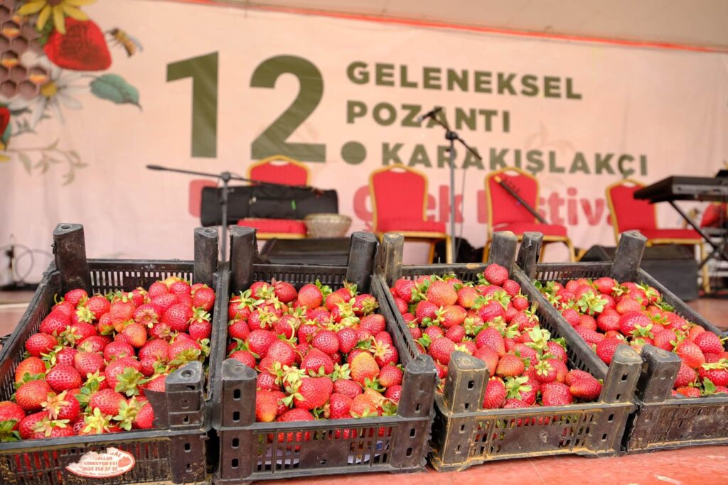 Karakışlakçı 12’inci Çilek ve Bal Festivali Gerçekleştirildi
