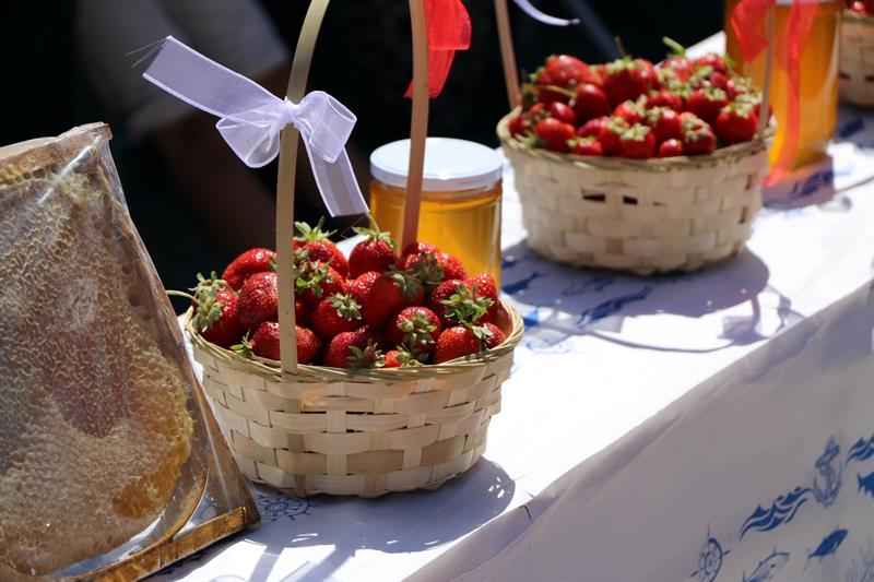 KARAKIŞLAKÇI’DA ÇİLEK VE BAL FESTİVALİ HEYECANI